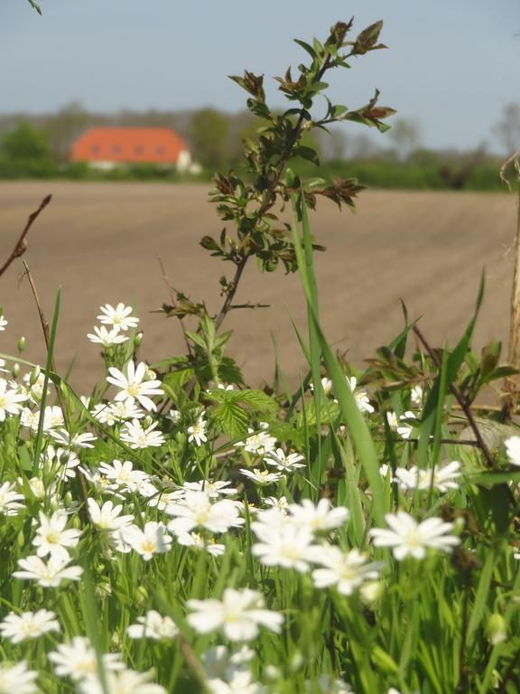 Land & Meer Hasselberg  Eksteriør billede