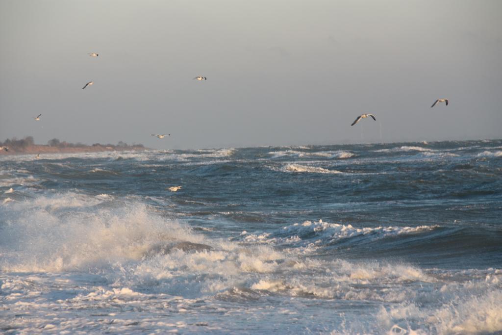 Land & Meer Hasselberg  Eksteriør billede